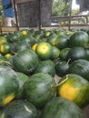 Much Green Watermelon At warehouse