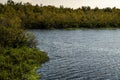 Sawgrass Lake Park