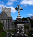 Muckross Abbey Royalty Free Stock Photo