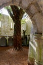 Muckross Abbey and Cemetery in Killarney National Park, Ireland, Ring of Kerry. Royalty Free Stock Photo