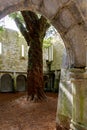 Muckross Abbey and Cemetery in Killarney National Park, Ireland, Ring of Kerry Royalty Free Stock Photo