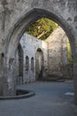 Muckross Abbey near Killarney, County Kerry Royalty Free Stock Photo