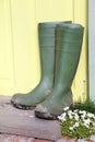 Mucky wellington boots Royalty Free Stock Photo