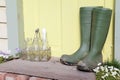 Mucky wellington boots Royalty Free Stock Photo