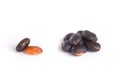 Mucuna pruriens isolated