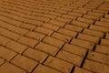Mud bricks