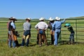 Cattle roundup and branding on a ranch