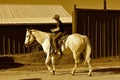 Young boy riding horseback for a branding