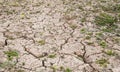 Mud crack and little grass Royalty Free Stock Photo