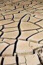 Mud Cracks Royalty Free Stock Photo