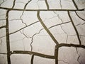 Mud Cracks Royalty Free Stock Photo