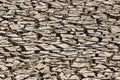 Mud cracks in grey colored mud flats Royalty Free Stock Photo