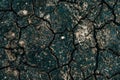 Mud cracks texture top view Royalty Free Stock Photo