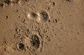 Mud with craters