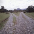 dirt road splitting in two, bifurcation right left in Patagonia without people Neuquen Argentina