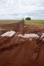 Dirt street with mud at farm entrance Royalty Free Stock Photo