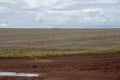 Dirt street with mud at farm entrance Royalty Free Stock Photo