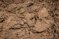 Mud dirt texture. Dry cracked earth. Royalty Free Stock Photo