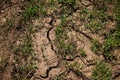 Mud dirt texture. Dry cracked earth. Royalty Free Stock Photo