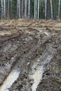Mud driveway rutted up by 4x4`s Royalty Free Stock Photo