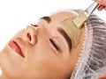 Mud facial mask of woman in spa salon. Face massage. Royalty Free Stock Photo