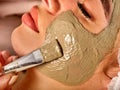 Mud facial mask of woman in spa salon. Massage with clay full face. Royalty Free Stock Photo