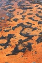 Mud Flat Patterns Royalty Free Stock Photo