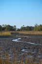 Mud Flats Royalty Free Stock Photo