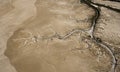 Mud flats Royalty Free Stock Photo