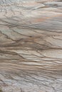 Mud Formations around the Grand Prismatic Spring Royalty Free Stock Photo