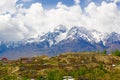 Mud Houses in Leh Ladakh Royalty Free Stock Photo