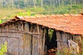 Mud hut in tribal district of koraput of odisha