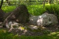 Mud Maid at the Lost Gardens of Heligan Royalty Free Stock Photo