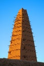 Mud mosque minaret in Agadez