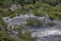 Mud pook of Whakarewarewa Geyser at Te Puia thermal park in New Zealand