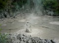 Bubbling, splashing and boiling mud pool, Rotorua, New Zealand