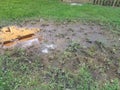 Mud puddle and dead grass and green grass Royalty Free Stock Photo