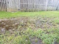 Mud puddle and dead grass and green grass near wood fence Royalty Free Stock Photo