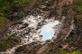 mud puddle and tire tracks on meadow road Royalty Free Stock Photo