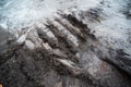 Mud with a puddle and traces of transport on an impassable road Royalty Free Stock Photo