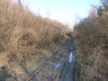 Mud and puddles on the dirt road. Royalty Free Stock Photo