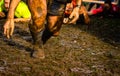Mud race runners passing under a barbed wire obstacles during extreme obstacle race.