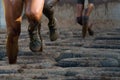 Mud race runners Royalty Free Stock Photo