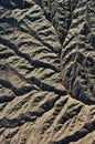 Mud with reens on the banks of the river usk, newport, gwent, Wales, UK