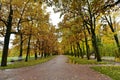 The mud road with fall foliage and yellow trees at Saint Petersburg Part in autumnk