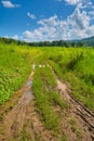 Mud and puddles with tire track on dirt country road in the wood. Royalty Free Stock Photo