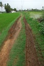 Mud Rural Road Way Through Fields Royalty Free Stock Photo