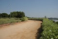 Mud Rural Road Way Through Fields Royalty Free Stock Photo