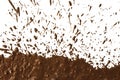 Mud splat pattern Royalty Free Stock Photo