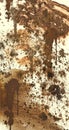 Mud splattered background